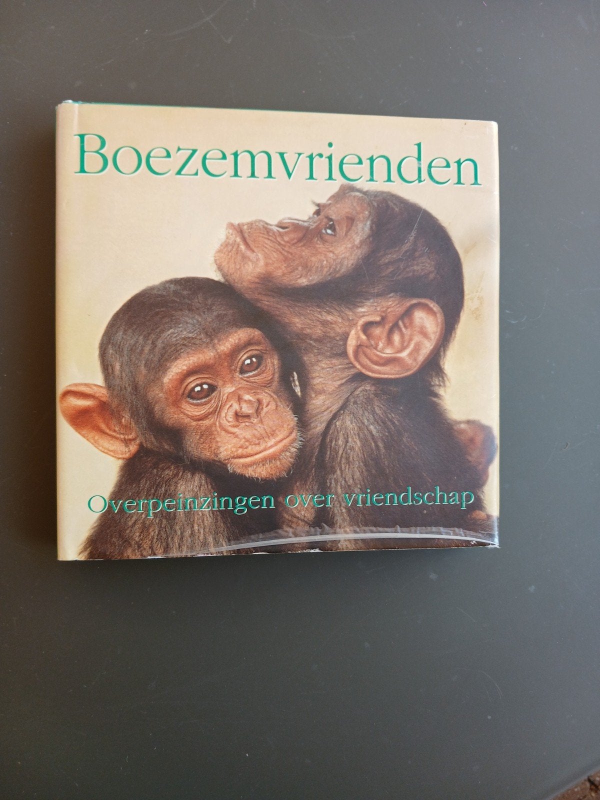 Boezemvrienden: Overpeinzingen over vriendschap, Ophalen of Verzenden, Gelezen, Onbekend, Nederland