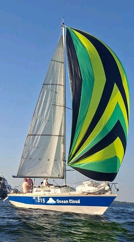 Spinnaker De Vries 38m2 tri-radial 986 x 465cm zgan, 30 tot 60 m², 6 meter of meer, Spinnaker, Ophalen of Verzenden