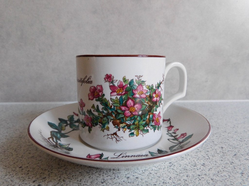 Mokka Kop en schotel Botanica Villeroy & Boch, Villeroy & Boch, Ophalen of Verzenden, Zo goed als nieuw, Overige stijlen