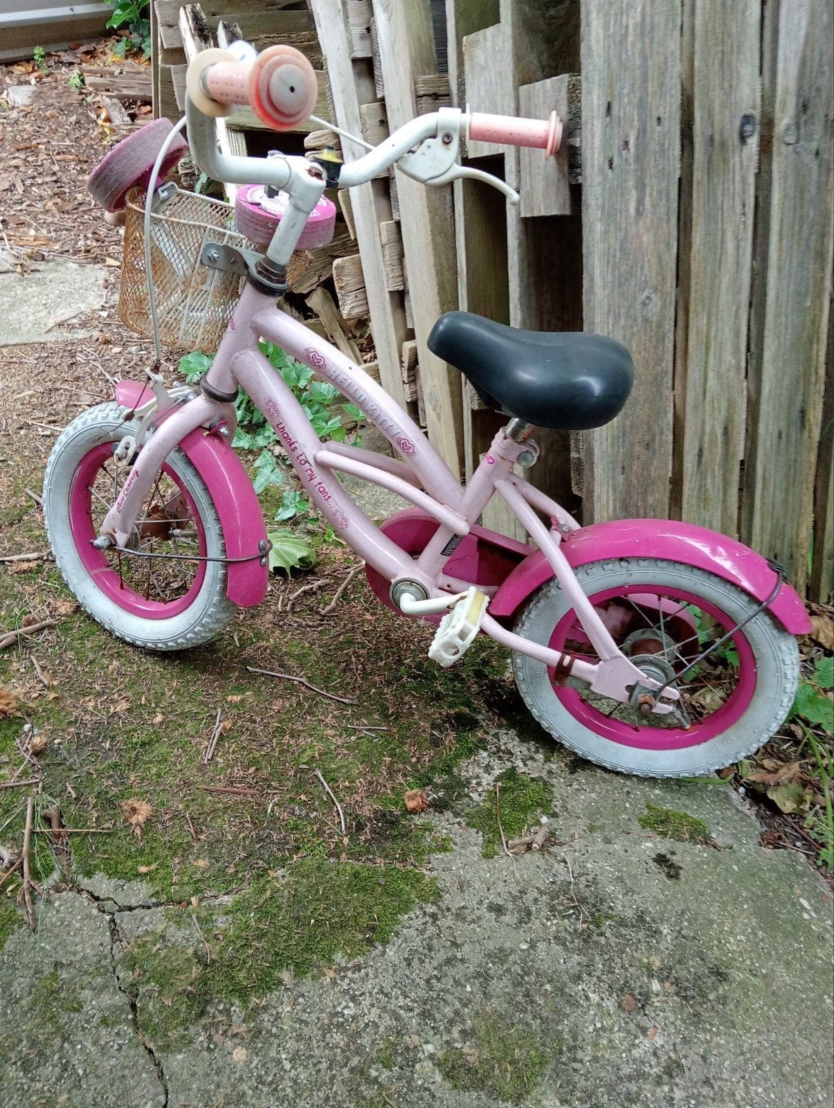 Leuke roze Hello Kitty kinderfiets, Fietsen en Brommers, Fietsen | Kinderfietsjes, Ophalen of Verzenden, Gebruikt, Minder dan 16 inch
