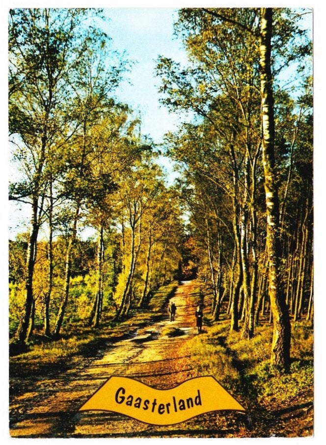 Gaasterland Gelopen Ansichtkaart (B2716 ), Ophalen of Verzenden, 1980 tot heden, Gelopen