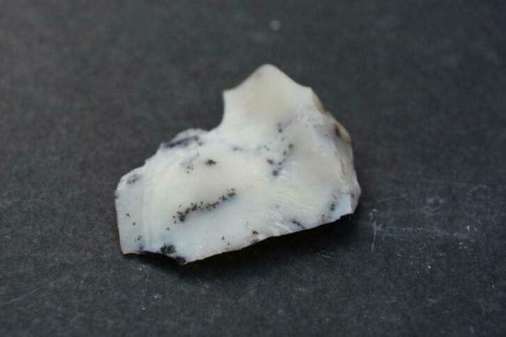 Dendriet Opaal (nr 01), Ophalen of Verzenden, Mineraal