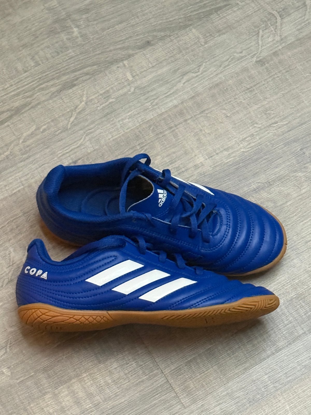 Adidas Copa zaalvoetbalschoenen - Maat 36, Ophalen of Verzenden, Zo goed als nieuw, Jongen, Sportschoenen