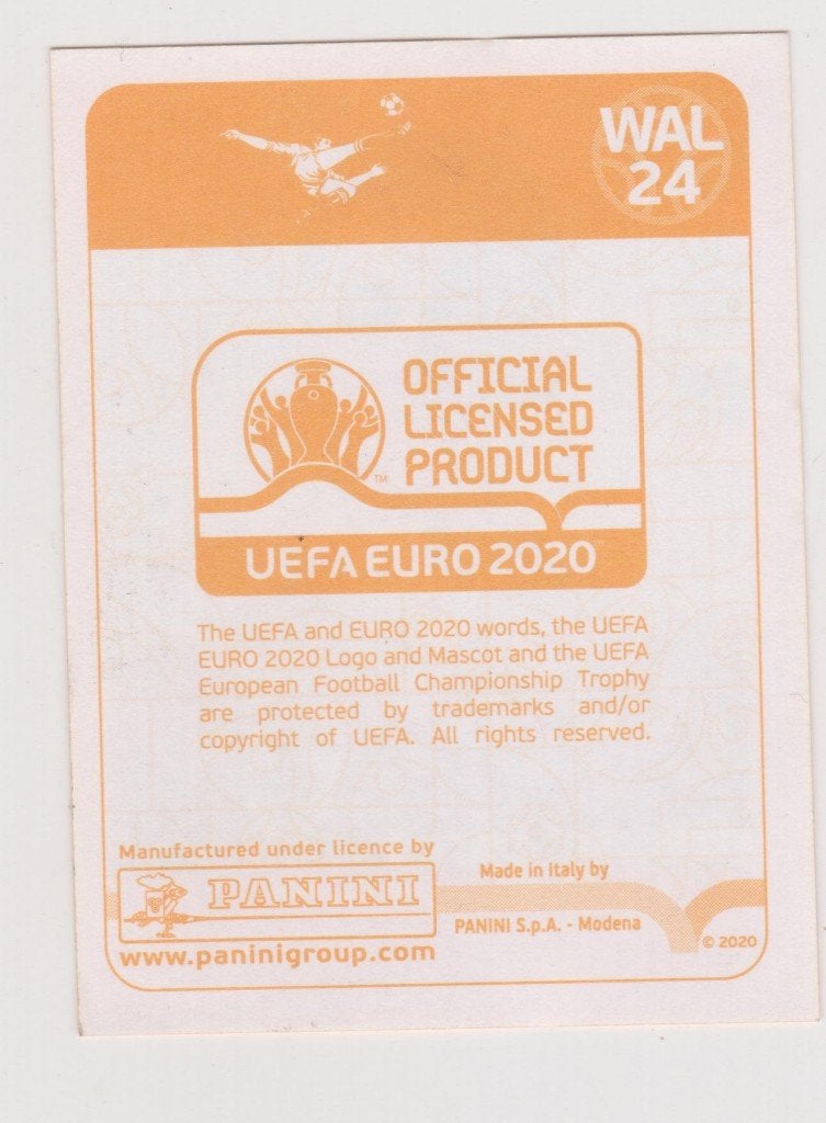 Panini stickers EK2020 Preview oranje, EK 2020, Verzenden, Zo goed als nieuw, Buitenlandse clubs, Poster, Plaatje of Sticker