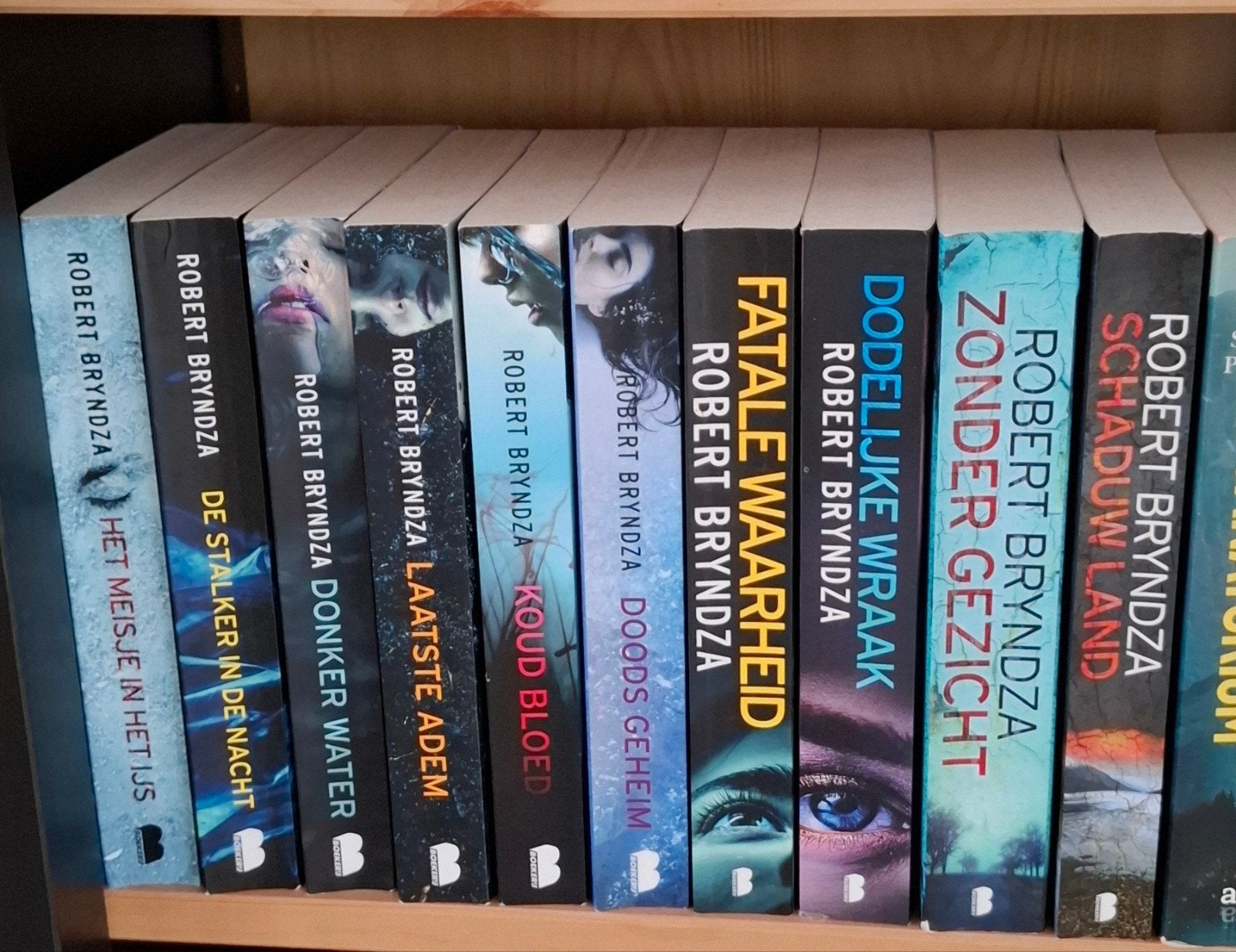 Thrillers Robert Bryndza, Boeken, Ophalen, Zo goed als nieuw, Robert Bryndza