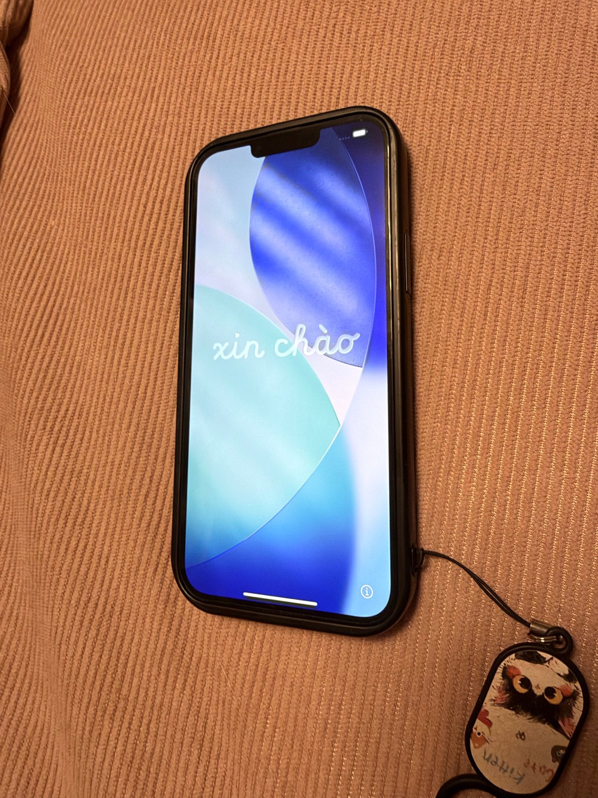 iPhone 13 Pro Max 1TB - Sierra Blue, Gebruikt, Blauw, 1 TB, 78 %