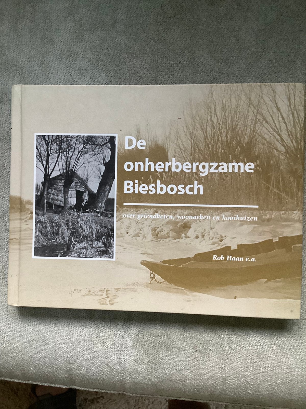 De onherbergzame Biesbosch - Rob Haan, Ophalen of Verzenden, Zo goed als nieuw, Vogels
