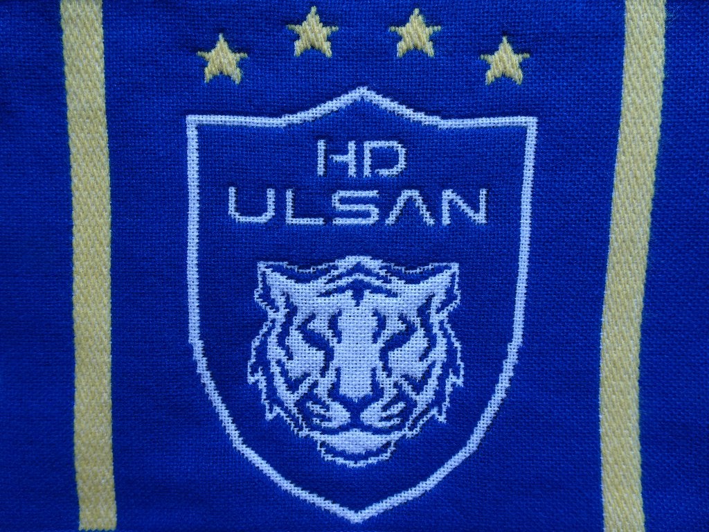 sjaal Ulsan HD FC (Zuid Korea), Ophalen of Verzenden, Nieuw, Buitenlandse clubs, Vaantje of Sjaal