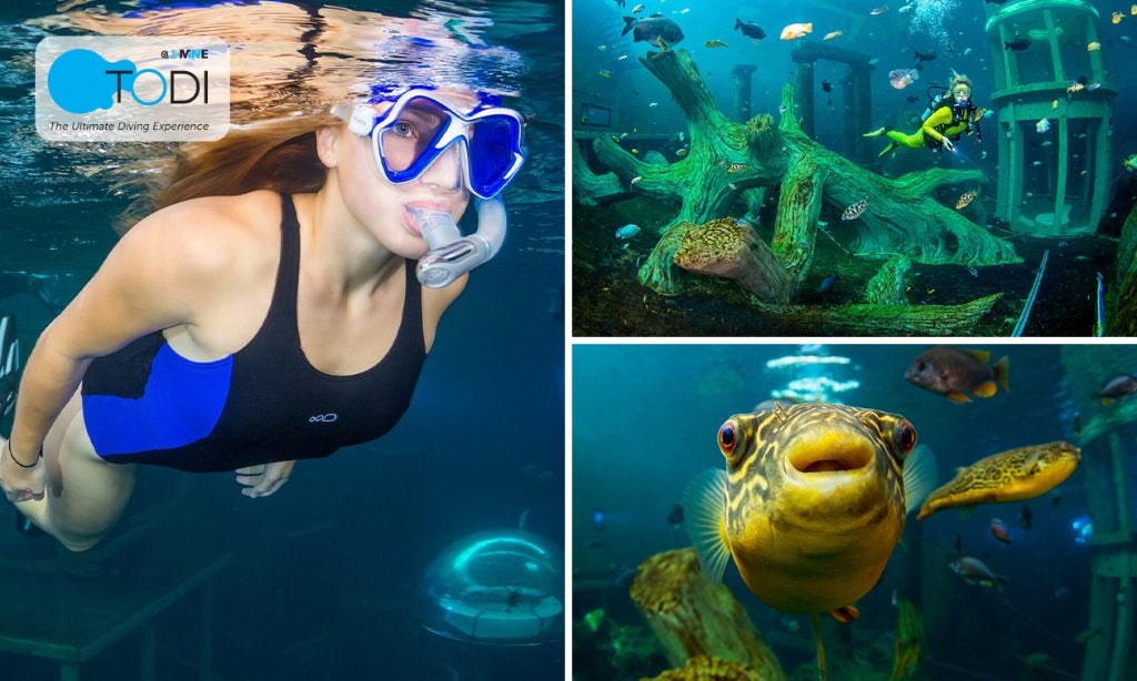 4x voucher 2 uur snorkelen Todi Beringen t/m 30 september, Drie personen of meer, Cadeaubon, Overige typen