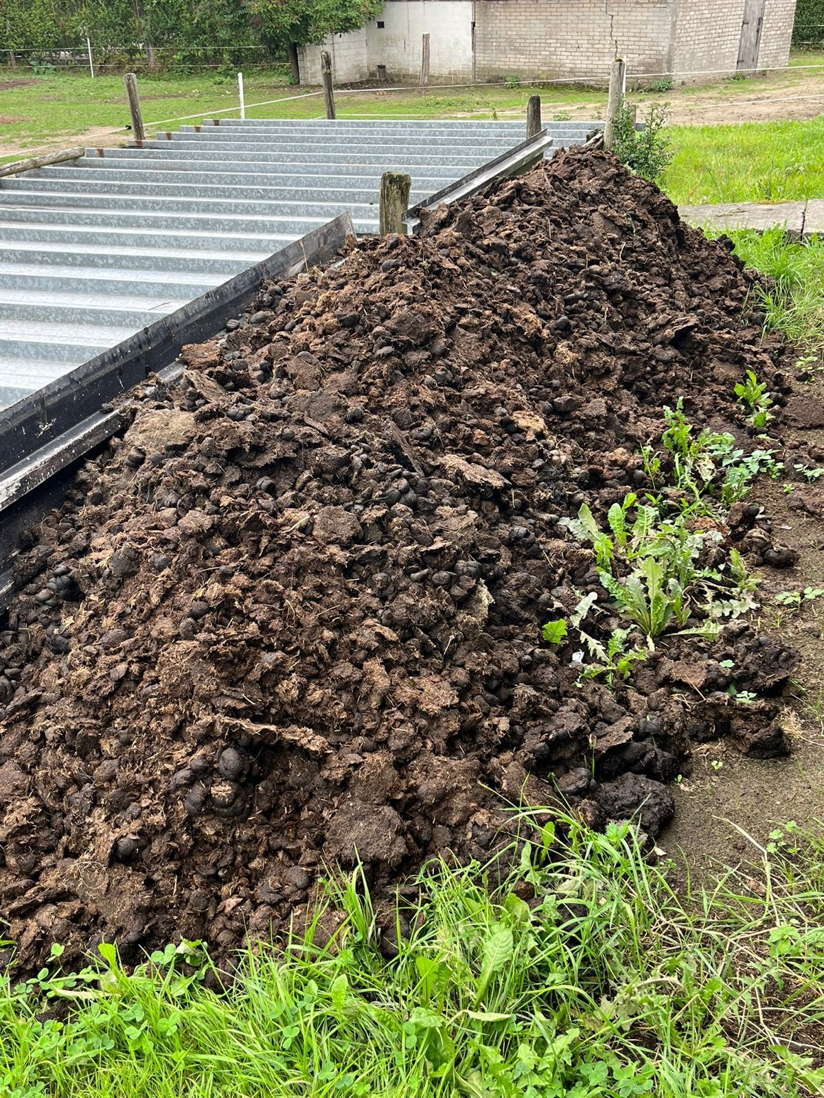 Gratis paardenmest af te halen, Tuin en Terras, Ophalen, Mest