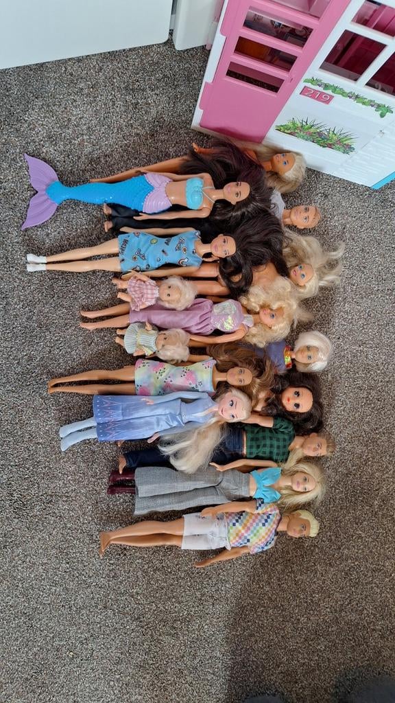Grote Barbie collectie: Barbies, huizen, paarden, auto, Ophalen, Gebruikt, Barbie