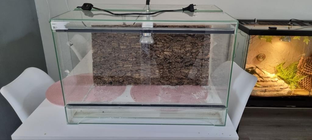 Terrarium 60x40x40 + lamp + achterwand, Dieren en Toebehoren, Reptielen en Amfibieën | Toebehoren, Ophalen, Zo goed als nieuw