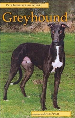 De GREYHOUND, Ophalen of Verzenden, Zo goed als nieuw