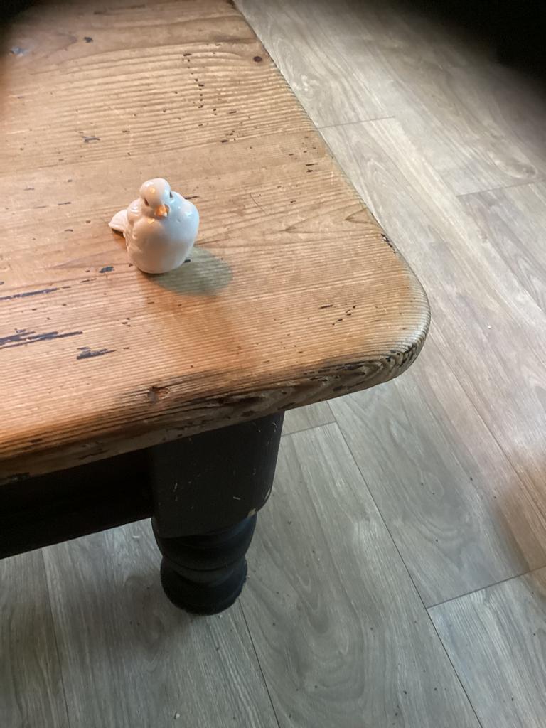 Vogel, Verzamelen, Ophalen of Verzenden, Zo goed als nieuw, Dier
