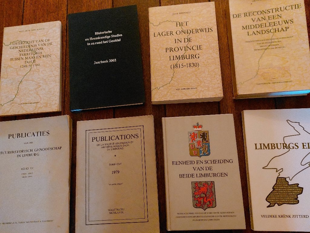 Maastricht: reconstructie van een middeleeuws landschap, Boeken, Geschiedenis | Stad en Regio, Ophalen of Verzenden, 14e eeuw of eerder