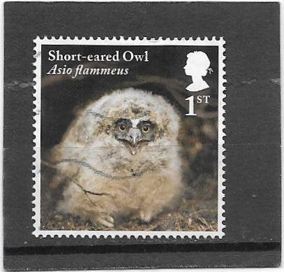 Engeland 2018 Owls - Short-eared Owl, Verzenden, Gestempeld