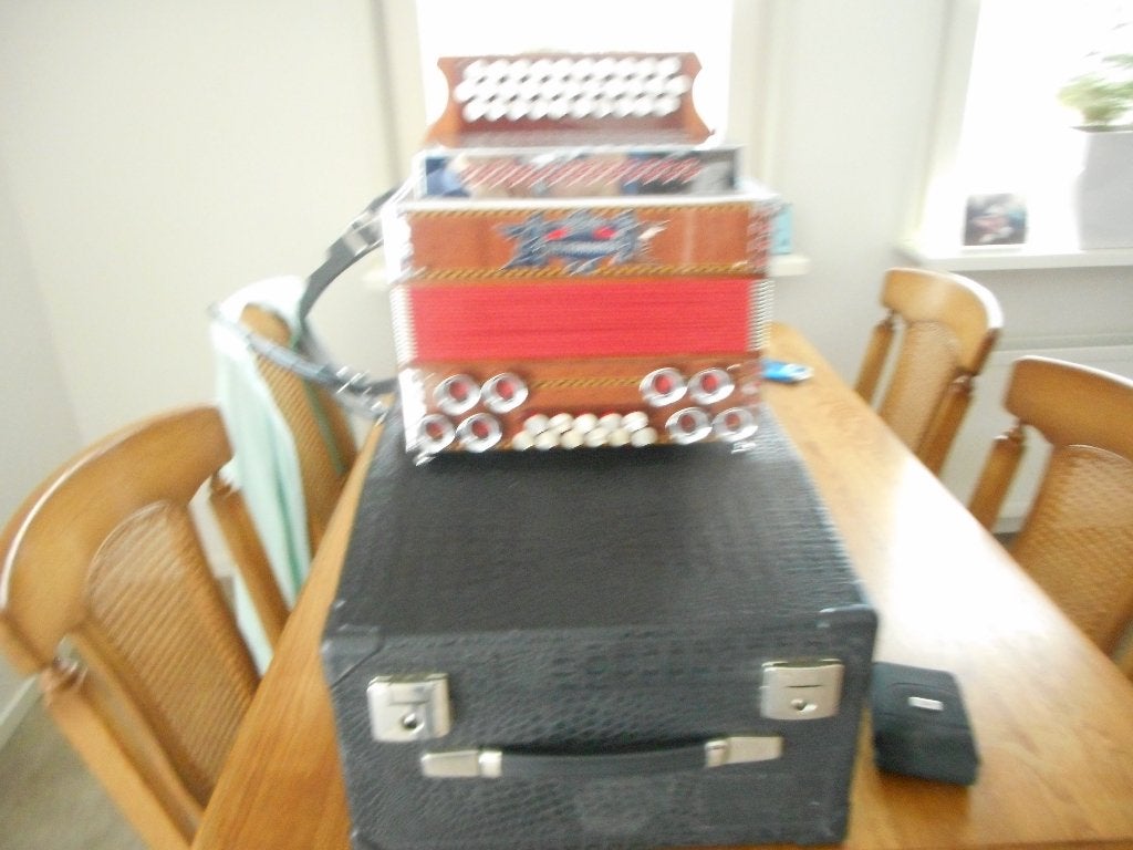 Steyermarker., Muziek en Instrumenten, Accordeons, Overige merken, Overige formaten, Met koffer, Ophalen of Verzenden