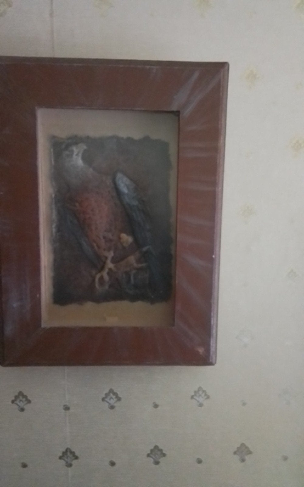 Ingelijst 3D kunstwerk van een roofvogel, Ophalen