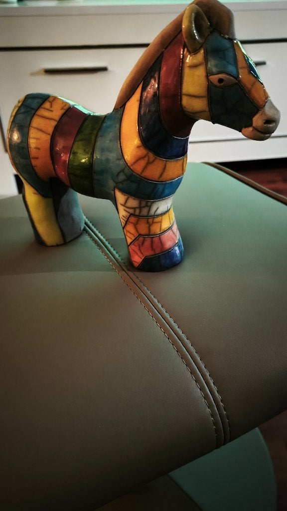 Zebra, Ophalen of Verzenden, Zo goed als nieuw