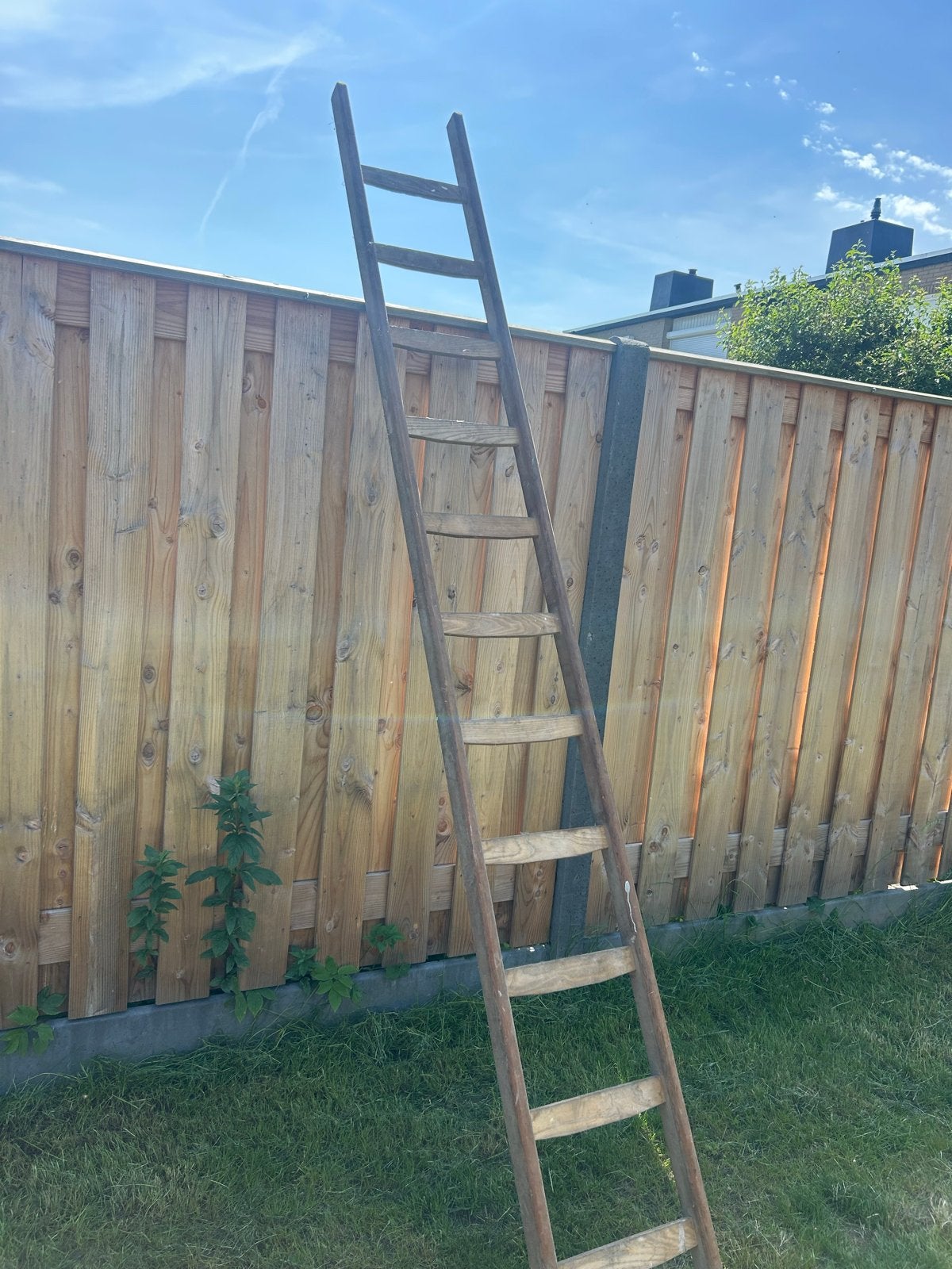 Houten ladder 3 meter lang, Doe-het-zelf en Verbouw, Ophalen, Gebruikt, Ladder, 2 tot 4 meter
