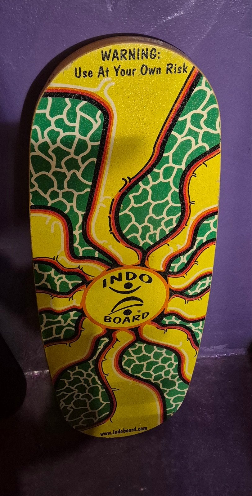 Indo Board Pro Balance Board, Ophalen of Verzenden, Gebruikt, Overige typen