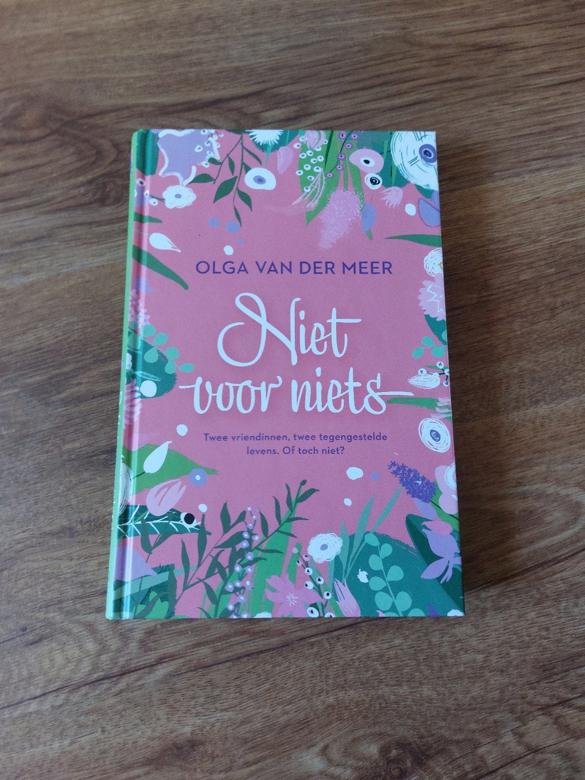 Roman van Olga van der Meer • Niet voor niets, Ophalen of Verzenden, Zo goed als nieuw, Olga van der Meer