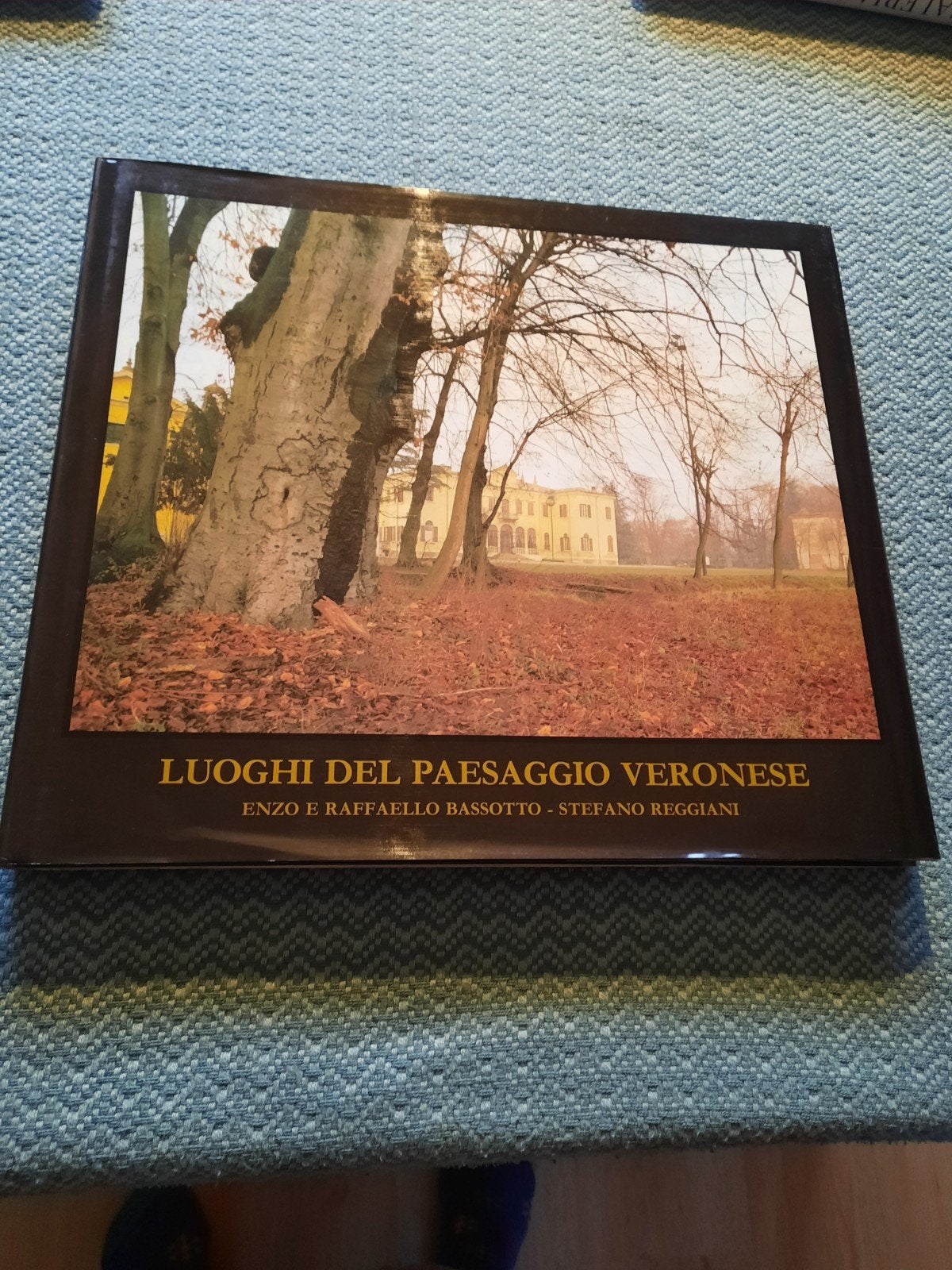 Luoghi del Paesaggio Veronese - Hardcover, nieuwstaat, Ophalen of Verzenden, Nieuw, Europa, Reisgids of -boek