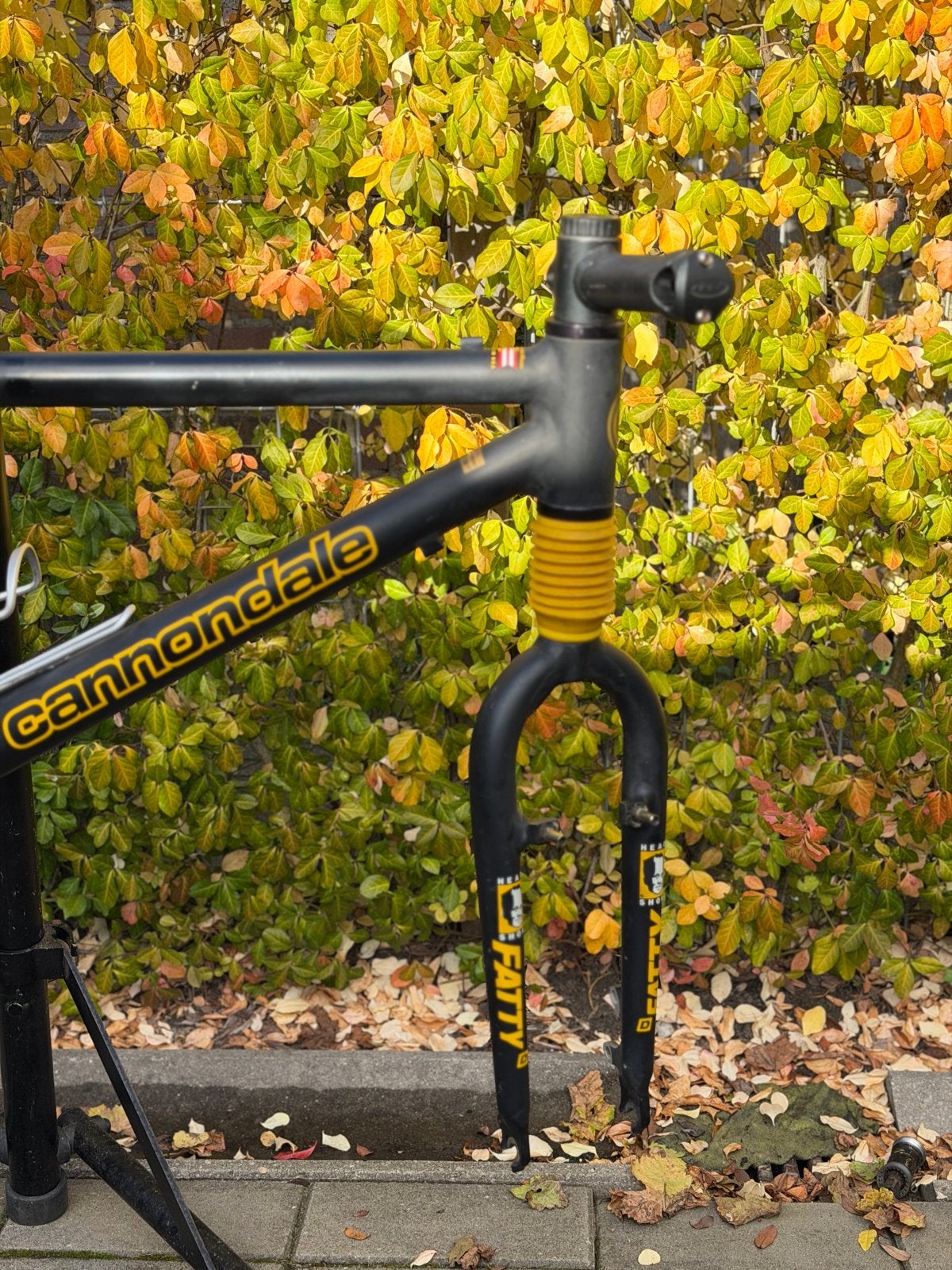 Cannondale CAAD4 Aluminium Design Frame met Fatty Voorvork, Frame, Gebruikt, Ophalen of Verzenden, Aluminium