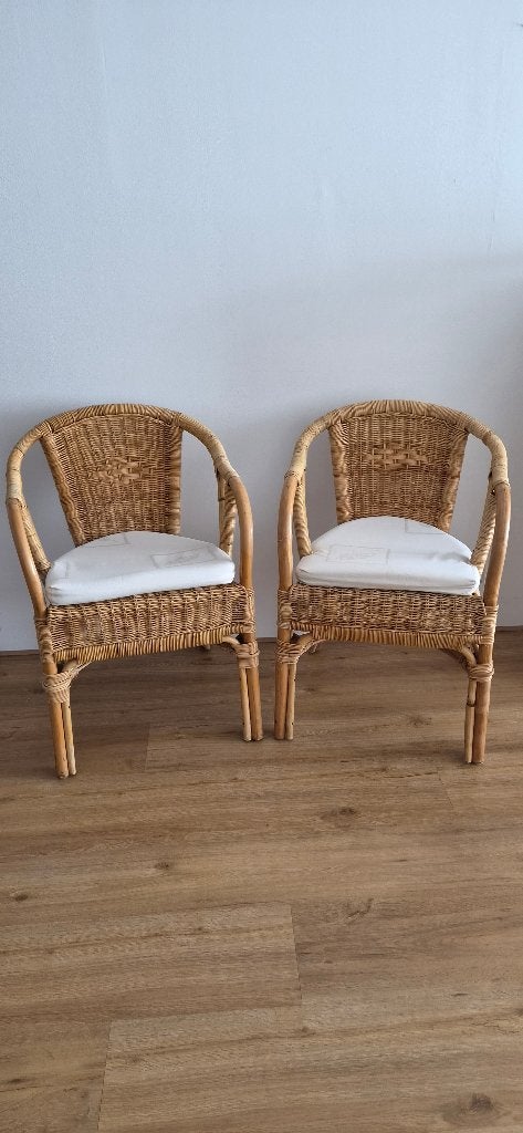 Rotan terrasstoelen, Huis en Inrichting, Stoelen, Ophalen, Terras, Twee, Bruin
