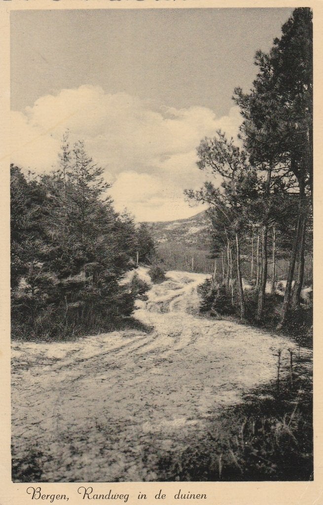 bergen- randweg in de duinen, Ophalen of Verzenden, 1940 tot 1960, Noord-Holland