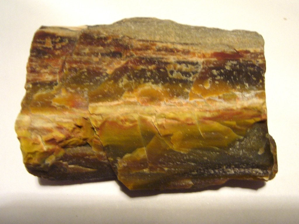 versteend hout XL 3 brokken voor 12,95 petrified wood 1 brok, Ophalen of Verzenden, Mineraal