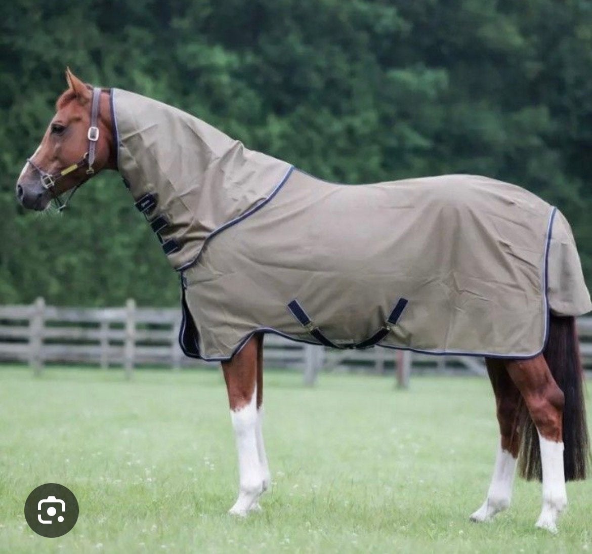 Dominick vleigen deken maat 195, Dieren en Toebehoren, Paarden en Pony's | Dekens en Dekjes, Overige merken, Vliegendeken, Afneembare hals
