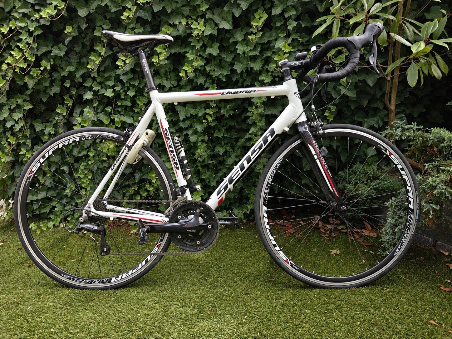 Sensa Umbria Racefiets - Maat 58, Gebruikt, Aluminium, 57 tot 61 cm, Meer dan 20 versnellingen