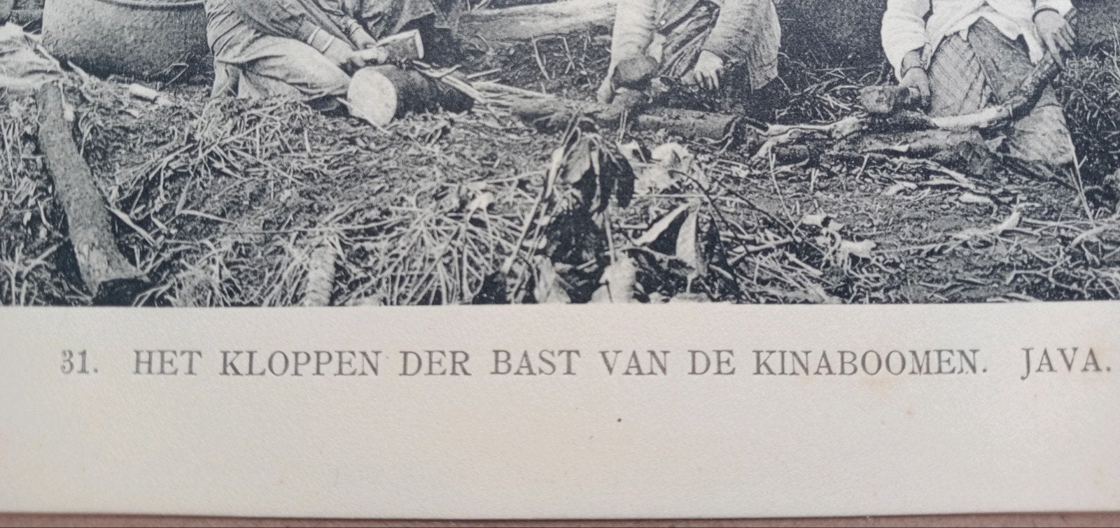 Fotogravure Nederlands Indië 1910 - Indonesia, Ophalen of Verzenden