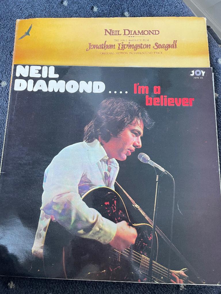 Vinyl LPs Neil Diamond, Ophalen of Verzenden, Gebruikt, 12 inch