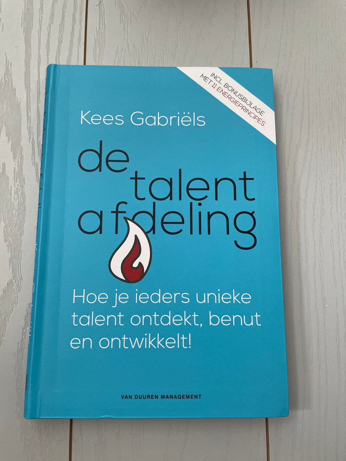 De Talentafdeling - Ontdek, benut en ontwikkel talent, Ophalen of Verzenden, Gamma, Zo goed als nieuw, HBO