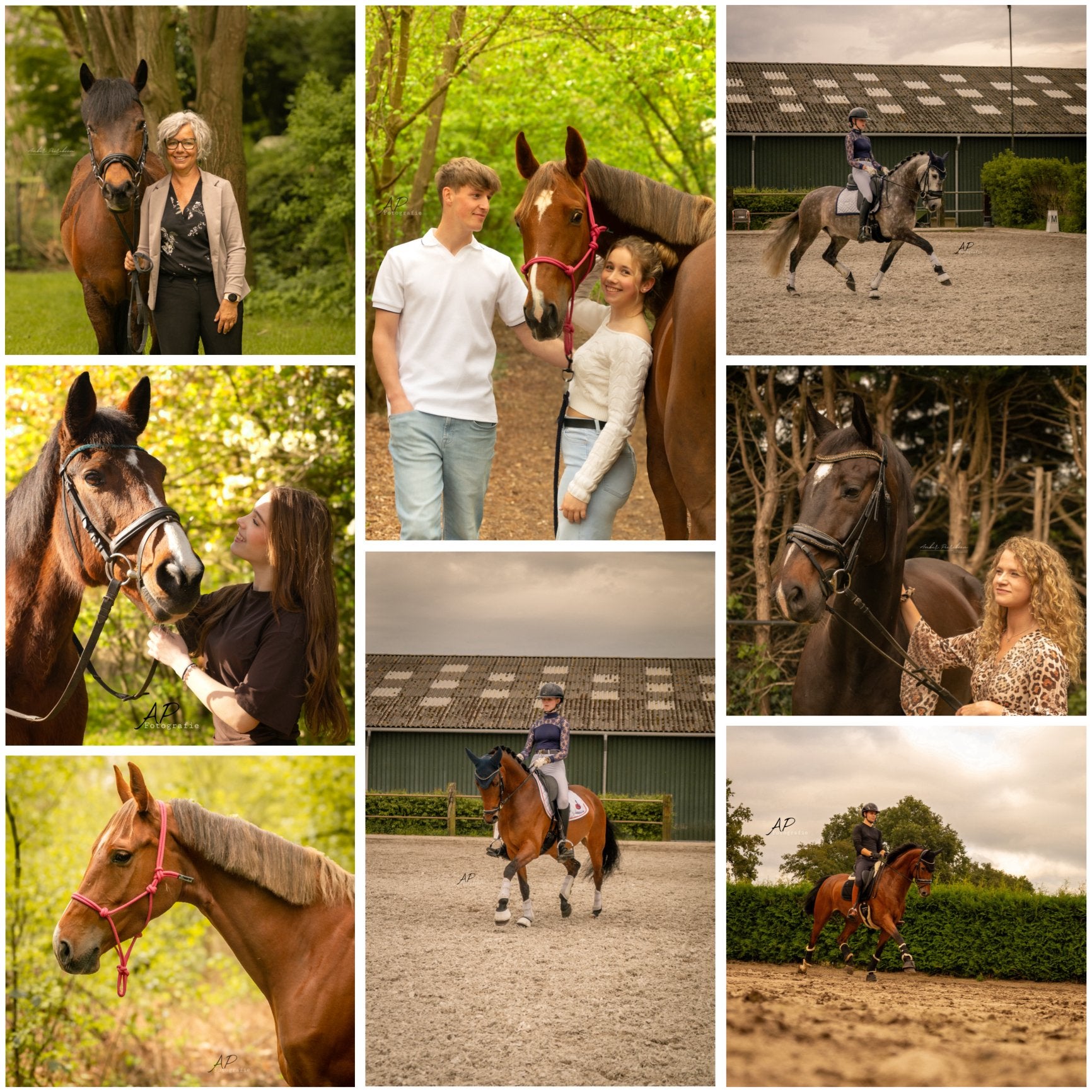 Betaalbare paardenfotograaf aangeboden, Ophalen of Verzenden, Nieuw, Overige soorten