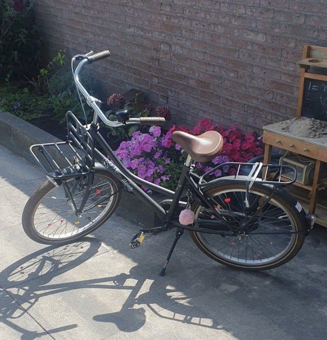 Mooie 22 inch meisjesfiets, Ophalen