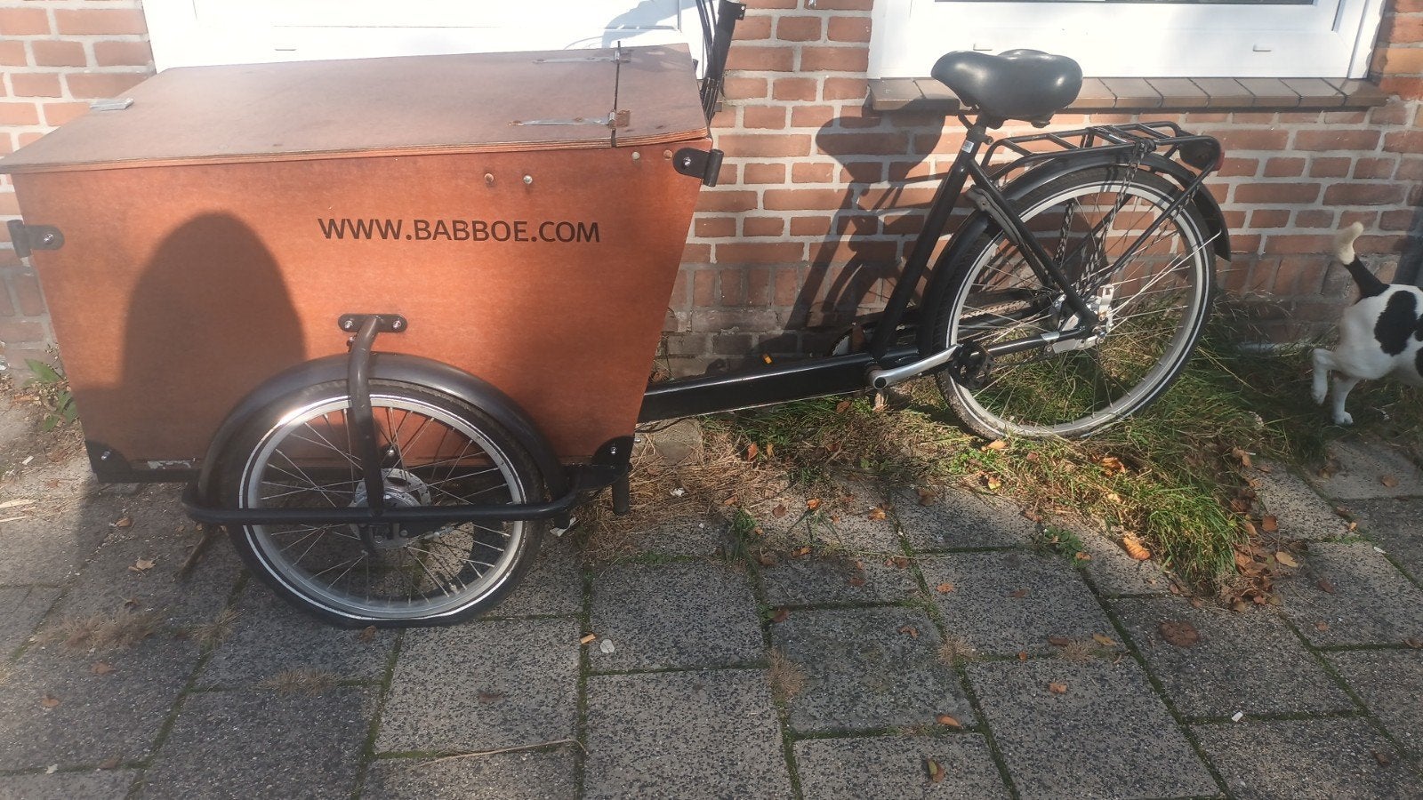 Babboe Big Bakfiets - Ideaal voor gezin of goederen, Ophalen of Verzenden, Gebruikt, Terugtraprem, Goederen