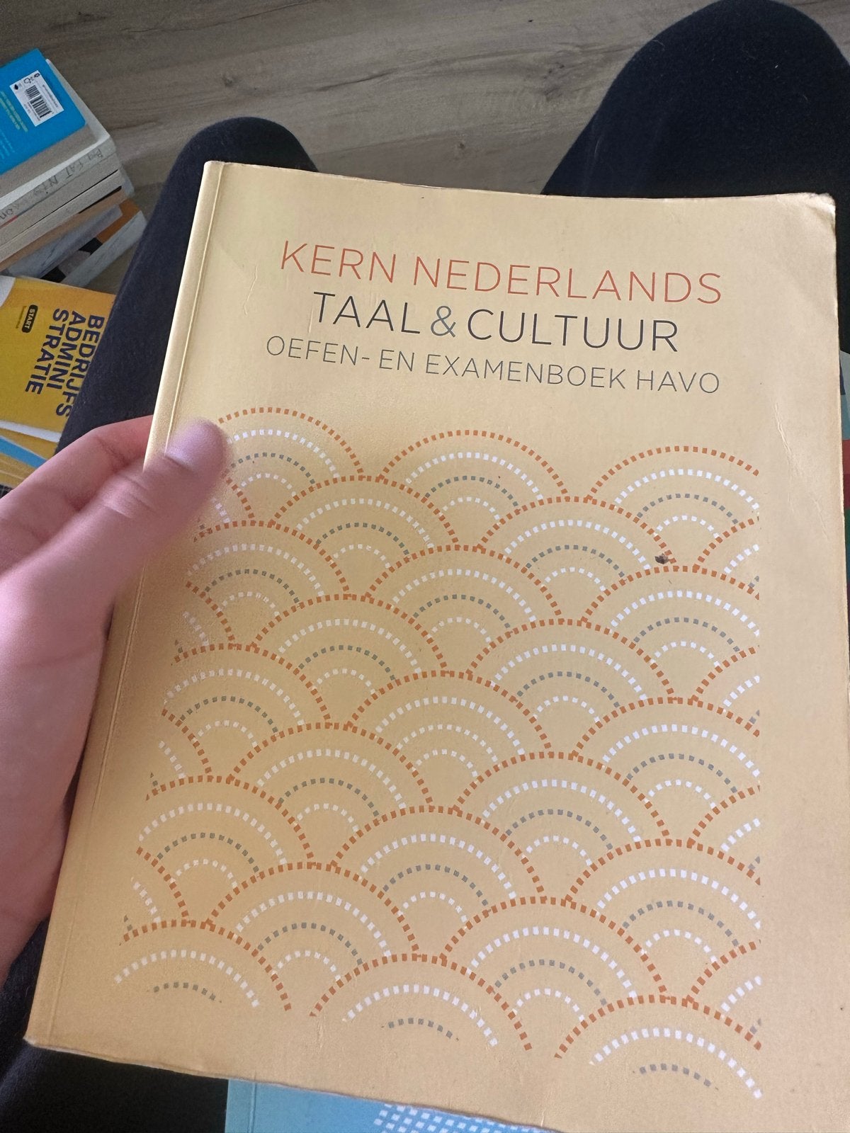Schoolboeken 4 HAVO en MBO 4 Business & Law, Ophalen, Gelezen, HAVO, Nederlands