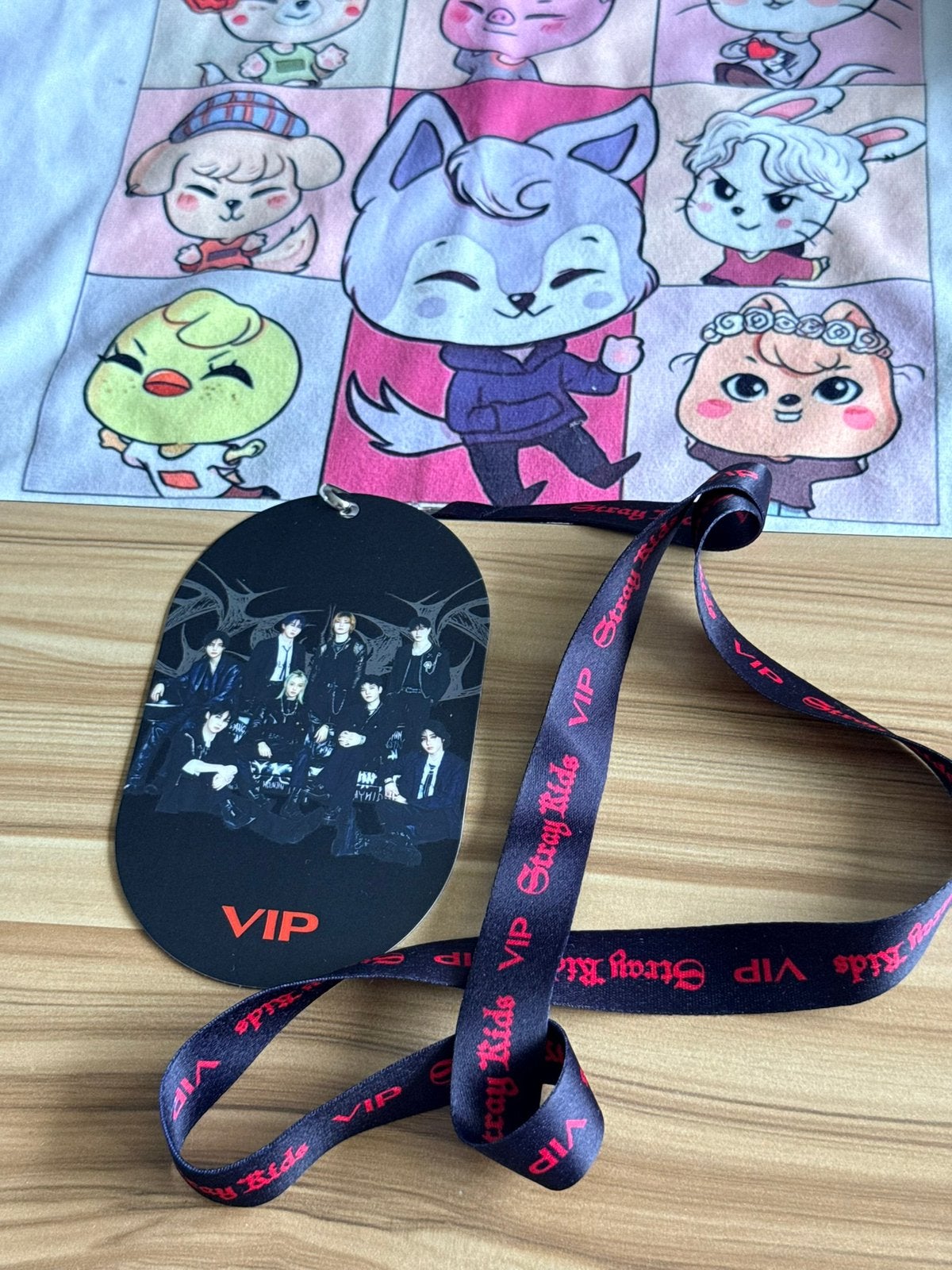 Stray Kids dominate vip laynard, Ophalen of Verzenden, Zo goed als nieuw, Foto of Kaart