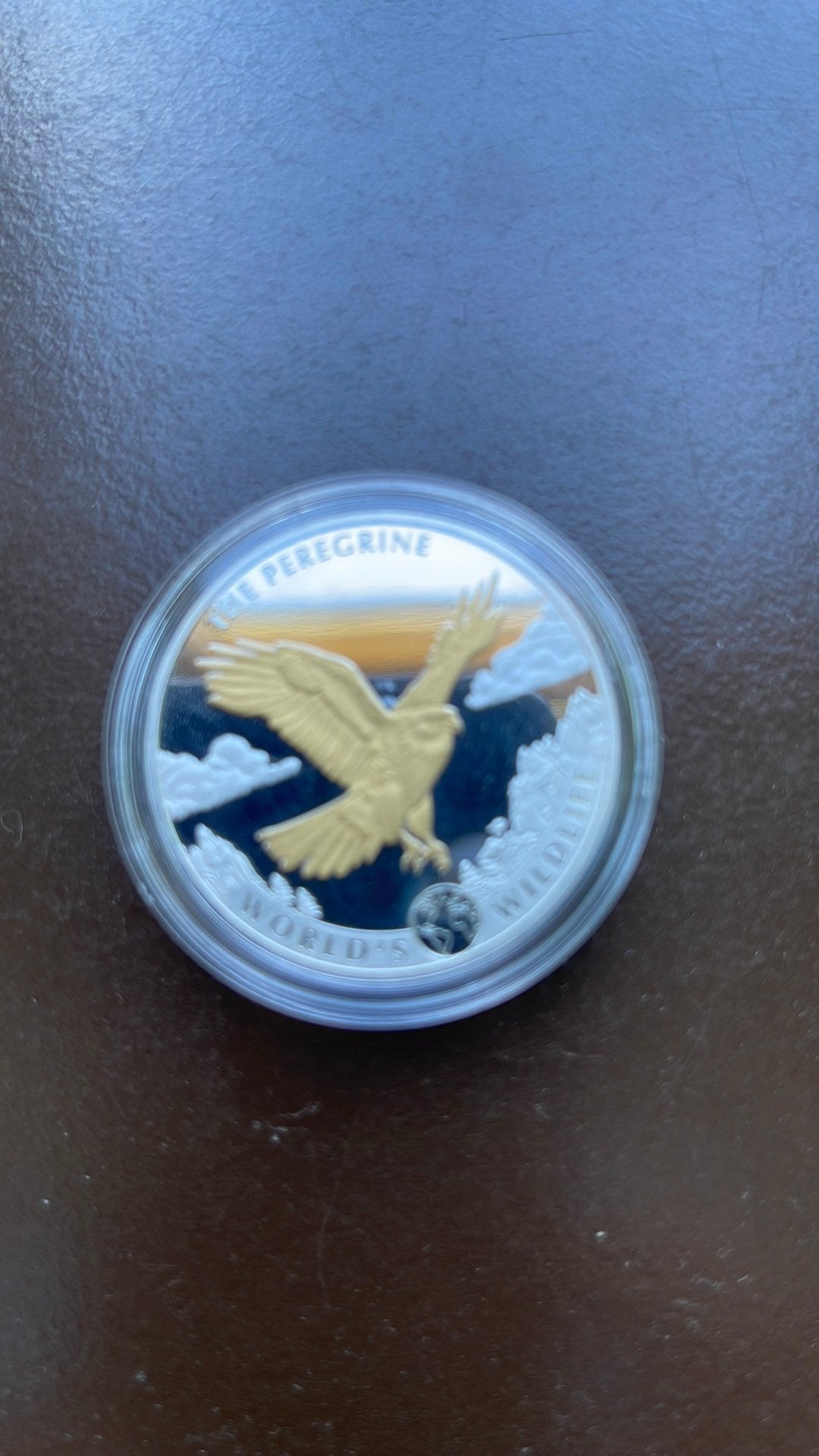 Wildlife-The Peregrine 2024 / 1OZ /. Gilded Prooflike, Ophalen of Verzenden, Losse munt, Zilver