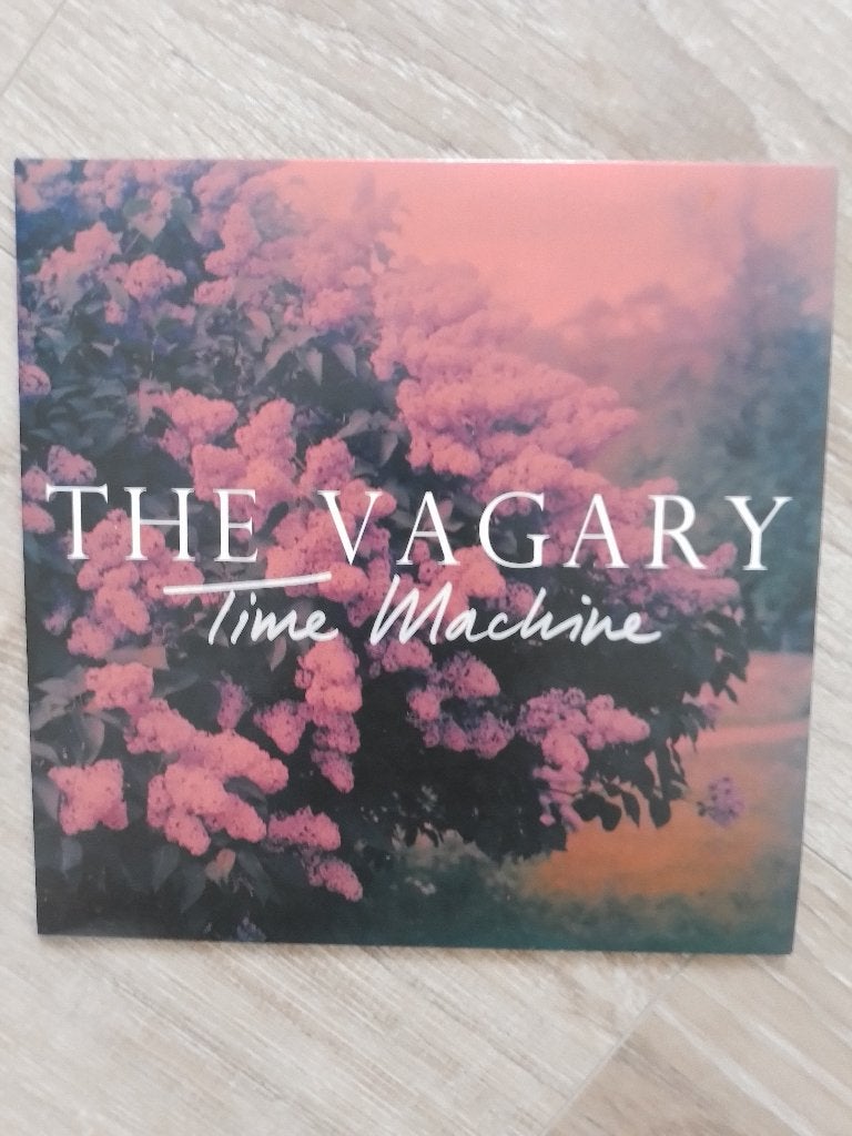 The Vagary/Pop/Nederpop, Fotohoes, 7 inch, Ophalen of Verzenden, Pop
