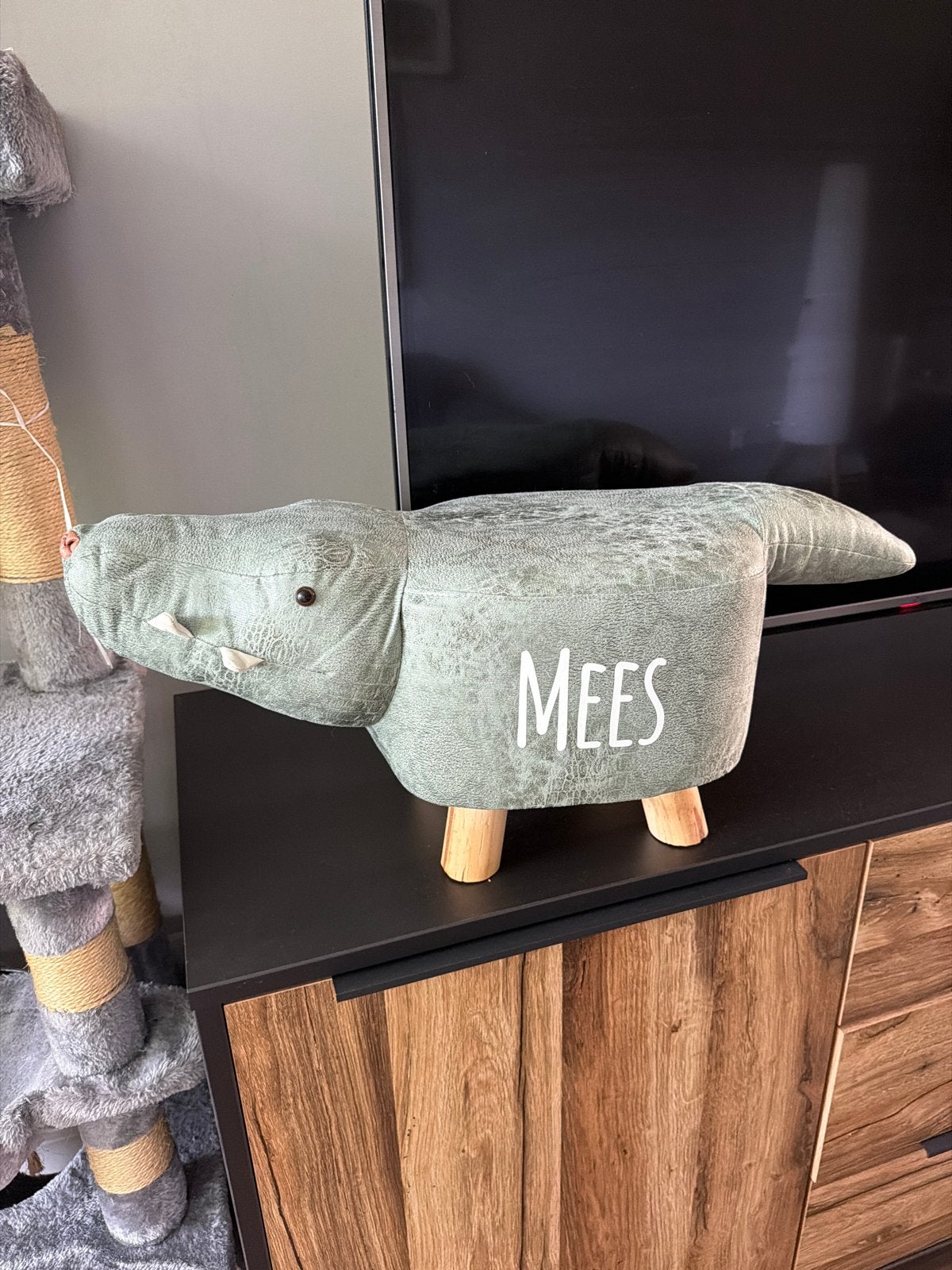 Leuke krokodil poef met naam 'Mees', Ophalen, Zo goed als nieuw, Jongen