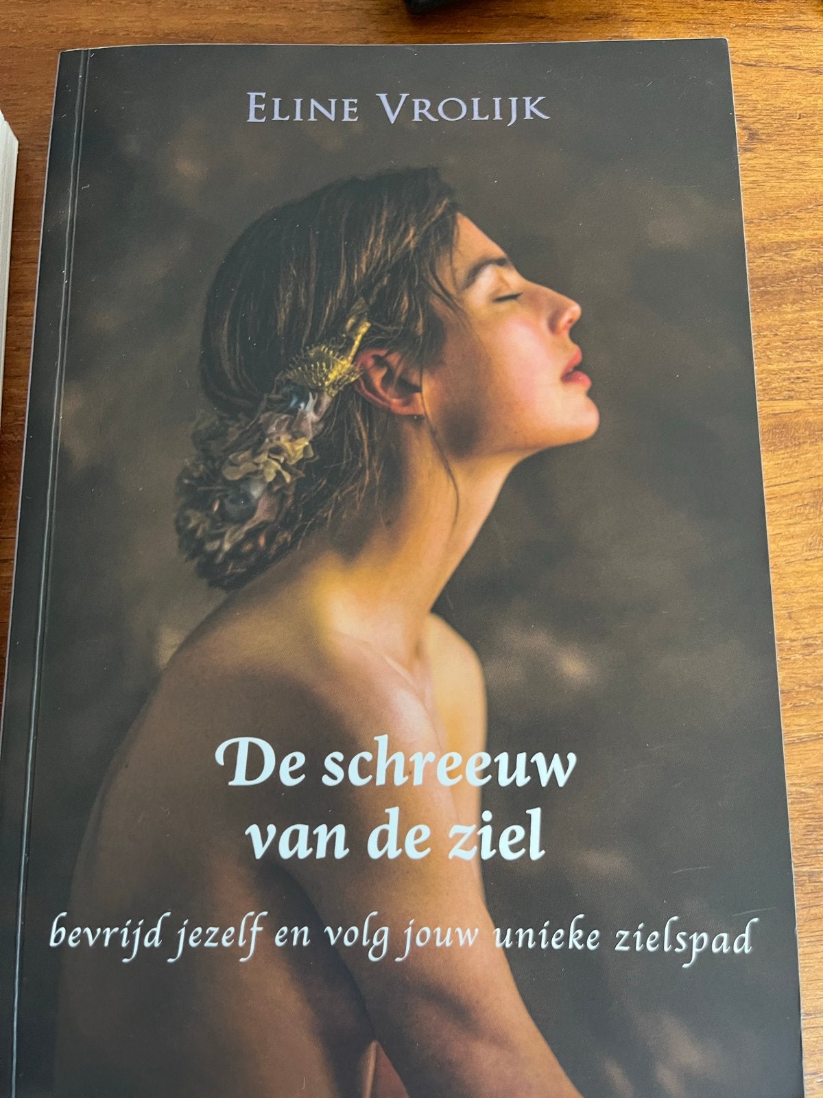 De Schreeuw van de Ziel - Eline Vrolijk, Boeken, Esoterie en Spiritualiteit, Ophalen, Zo goed als nieuw, Ziel of Sterfelijkheid