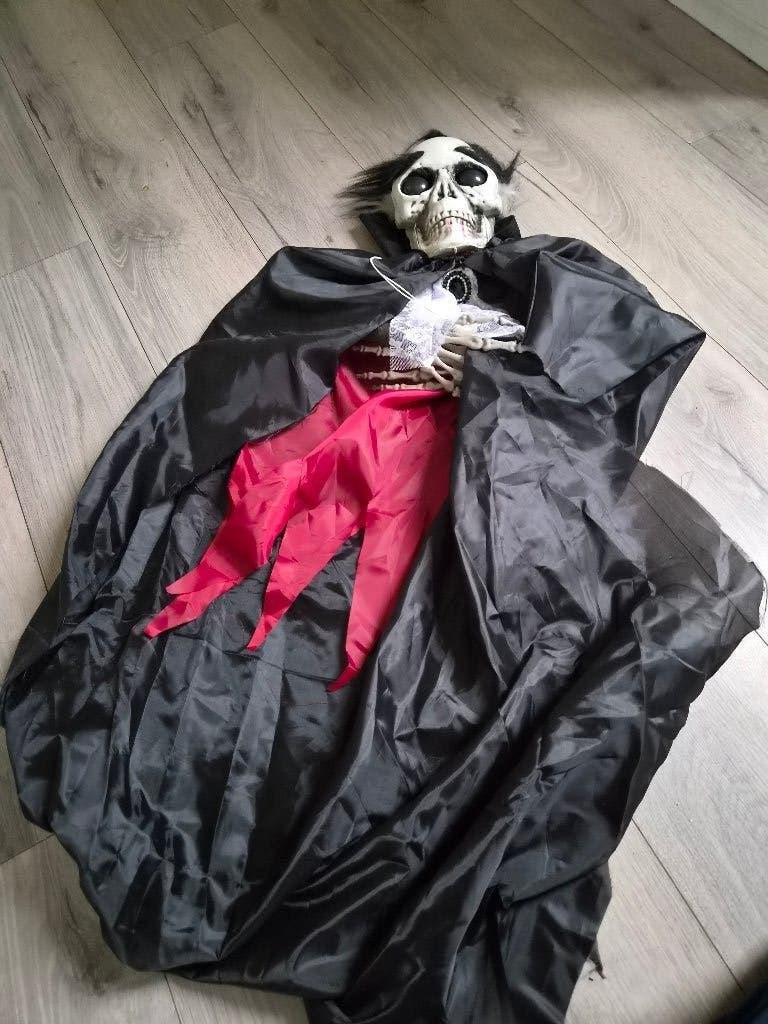 Skelet halloween, Ophalen of Verzenden, Zo goed als nieuw, Versiering, Halloween of Griezel