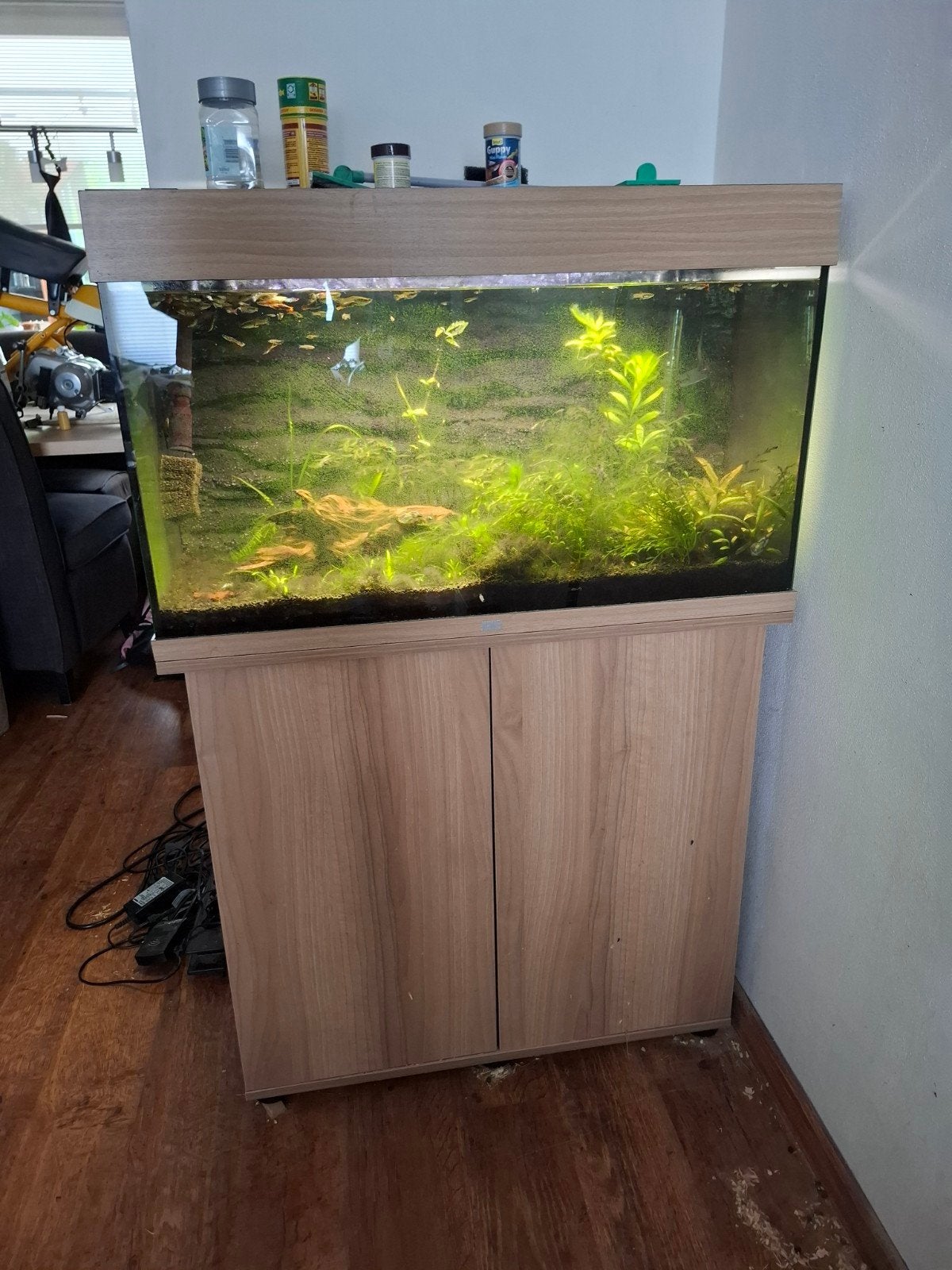 Aquarium 80cm breed, Ophalen, Gevuld zoetwateraquarium