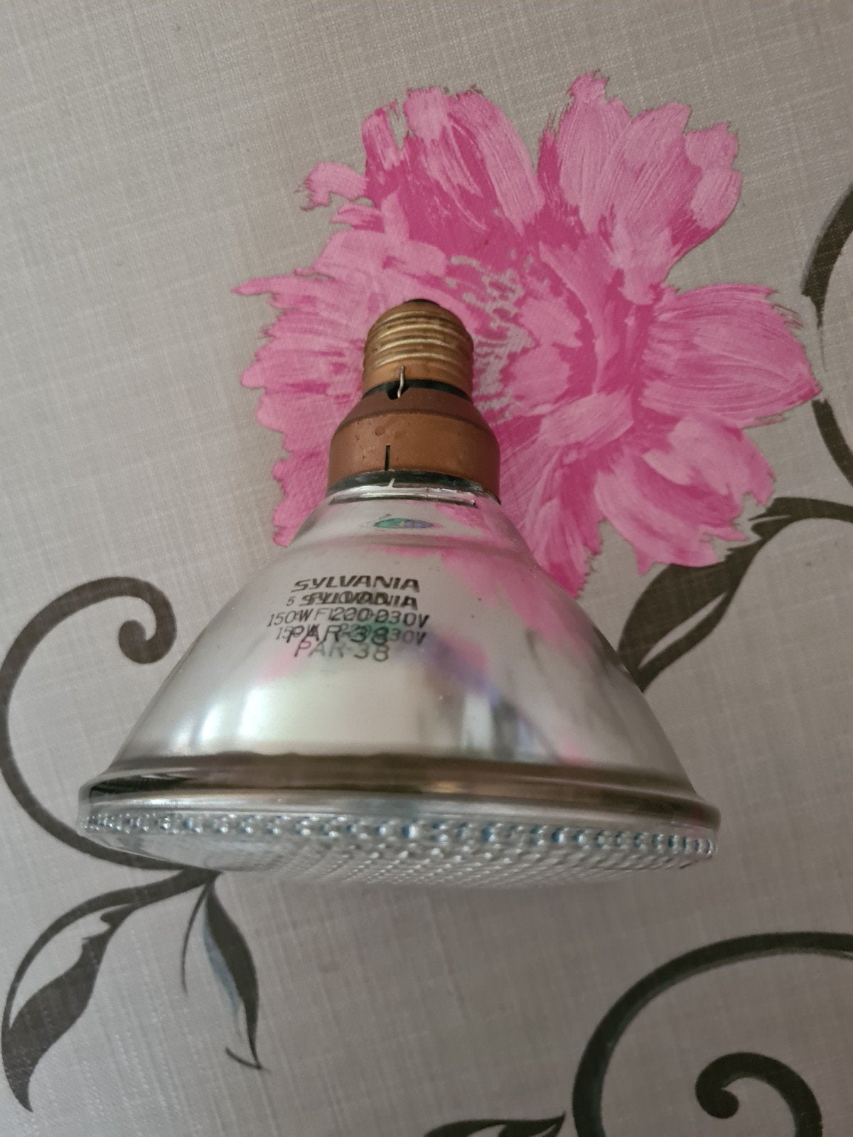 Philips Incandescent PAR38 120W E27 Gloeilamp, Philips, Gebruikt, Gloeilamp, 60 watt of meer