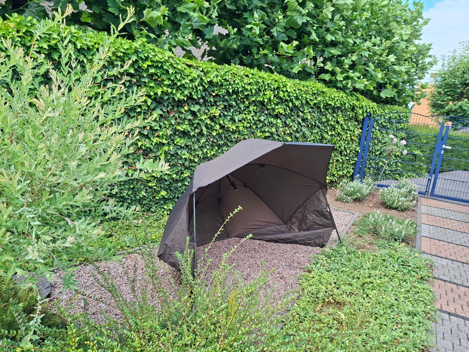 Brolly, Ophalen of Verzenden