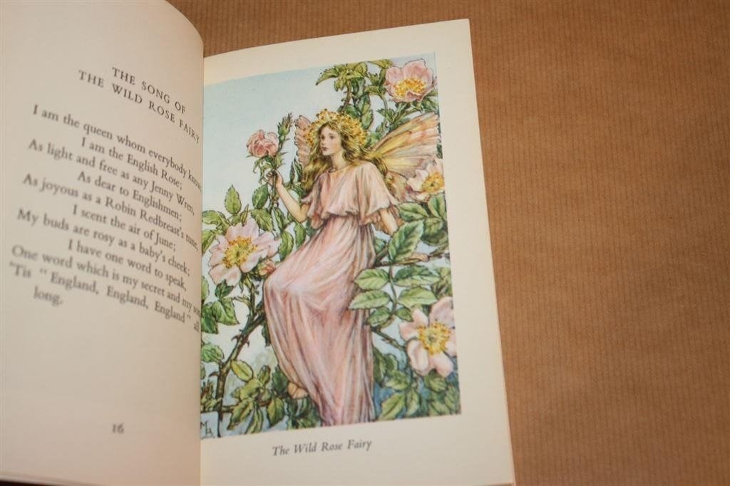 Flower Fairies of the Summer — Bloemenfeeen van Barker, Ophalen of Verzenden, Gelezen